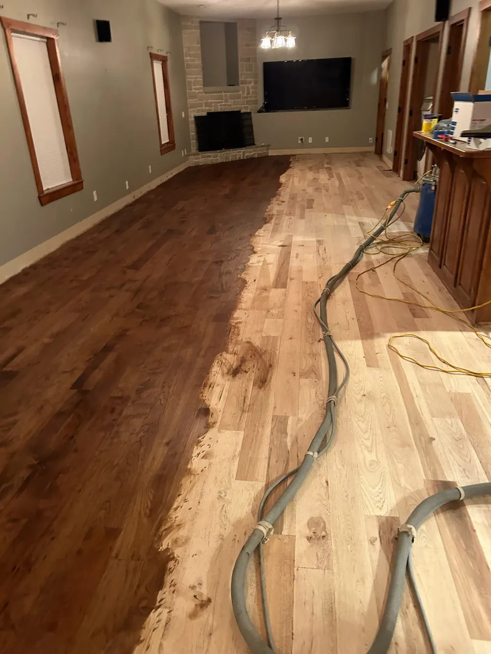 A hickory floor partway through staining: dark brown stain on the left, bare sanded boards on the right